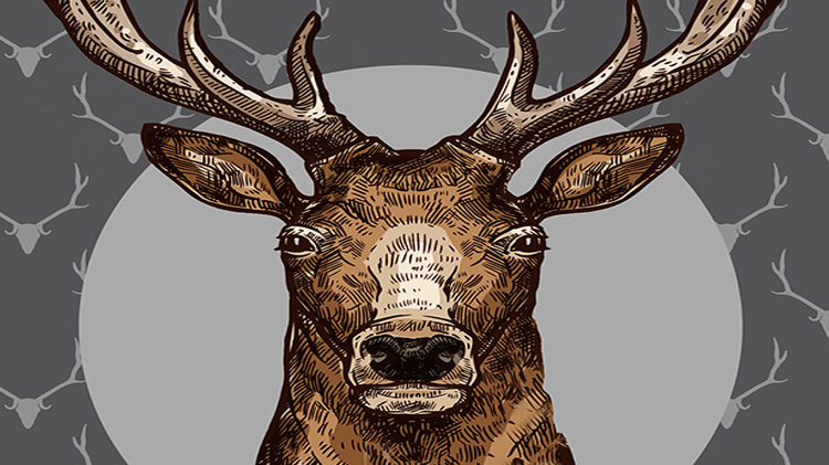 Big Buck Contest Big Buck Contest