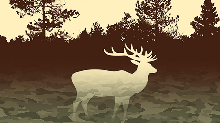 Hunting Season Sale Hunting Season Sale