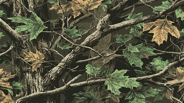 Mentored Squirrel Hunt
