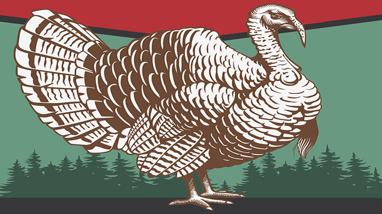 Biggest Thunder Chicken Biggest Thunder Chicken