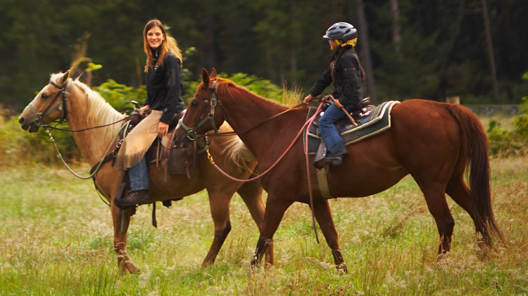 Horseback Riding Lessons Horseback Riding Lessons