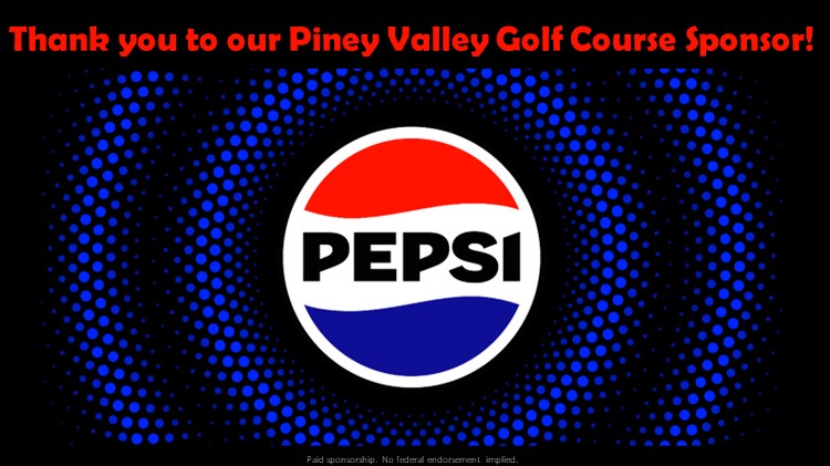 Thank you to our sponsor - Pepsi_web.jpg